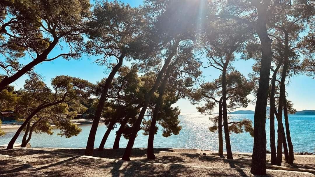 Appartement Lana à Biograd Na Moru Extérieur photo